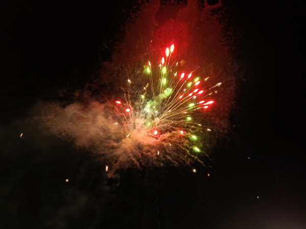 IMG_20240209_233707_1.jpg