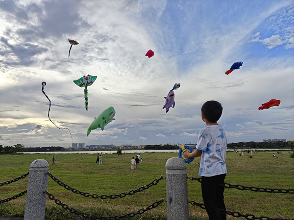 IMG20250907172624_1.jpg